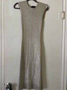 Ralph Lauren Black Label 100% Silk Silver Dress MIDI Length Size Small